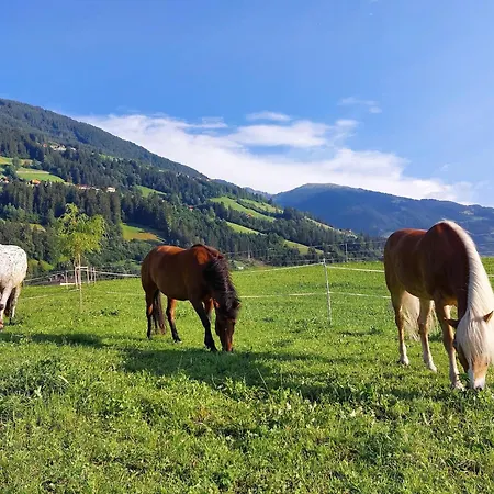 Nyaraló In Zillertal Near Slopes