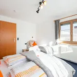 In Zillertal Near Slopes Ramsau im Zillertal